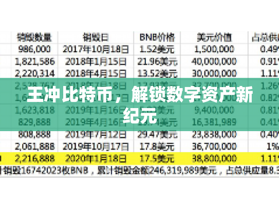 王冲比特币，解锁数字资产新纪元