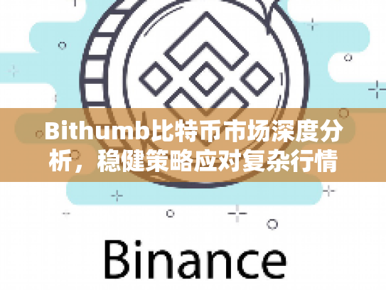 Bithumb比特币市场深度分析，稳健策略应对复杂行情