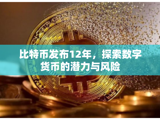 比特币发布12年，探索数字货币的潜力与风险