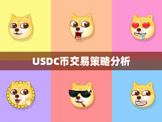 USDC币交易策略分析