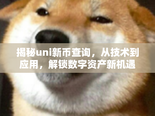 揭秘uni新币查询，从技术到应用，解锁数字资产新机遇