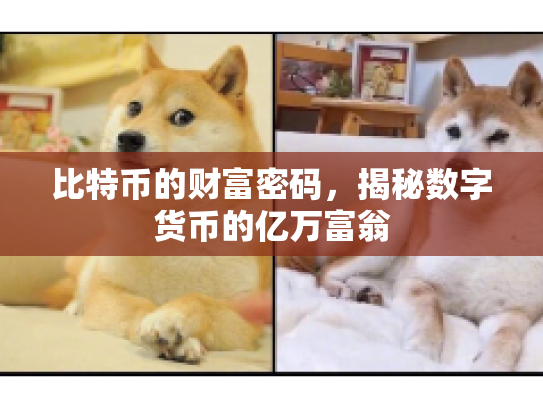 比特币的财富密码，揭秘数字货币的亿万富翁