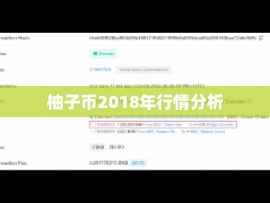 柚子币2018年行情分析