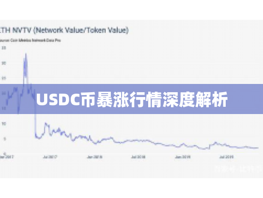 USDC币暴涨行情深度解析