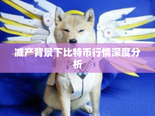 减产背景下比特币行情深度分析