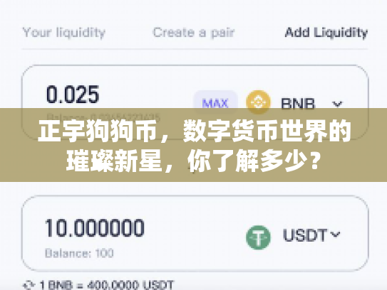 正宇狗狗币，数字货币世界的璀璨新星，你了解多少？