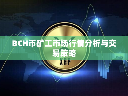 BCH币矿工市场行情分析与交易策略