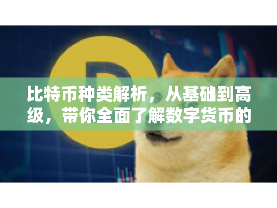 比特币种类解析，从基础到高级，带你全面了解数字货币的多样性与技术原理