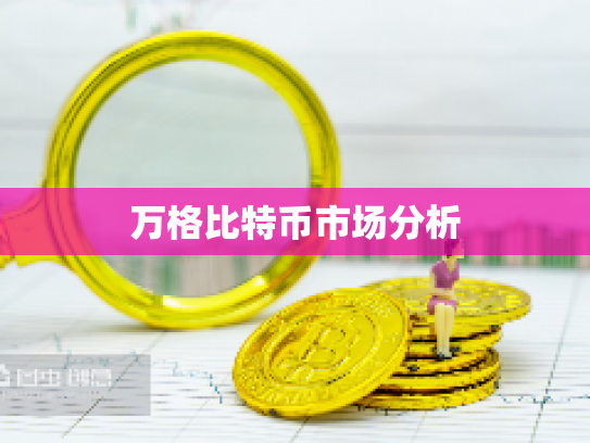 万格比特币市场分析