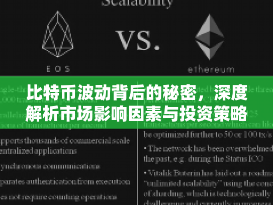 比特币波动背后的秘密，深度解析市场影响因素与投资策略