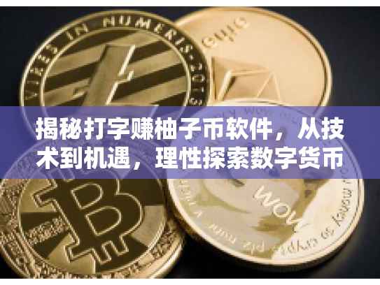 揭秘打字赚柚子币软件，从技术到机遇，理性探索数字货币新世界