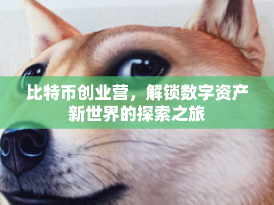 比特币创业营，解锁数字资产新世界的探索之旅