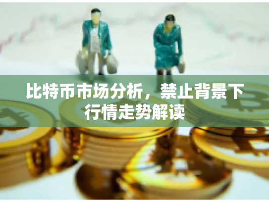 比特币市场分析，禁止背景下行情走势解读