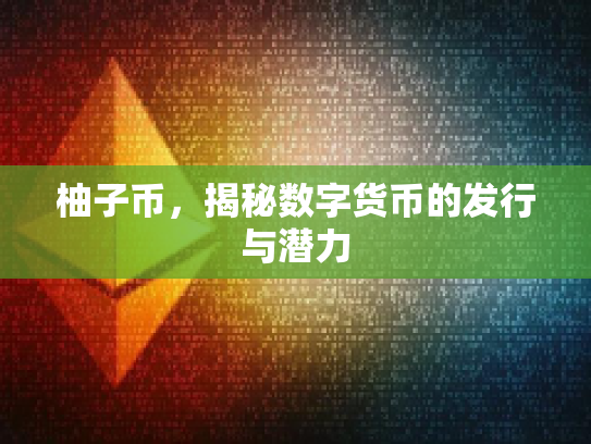 柚子币，揭秘数字货币的发行与潜力