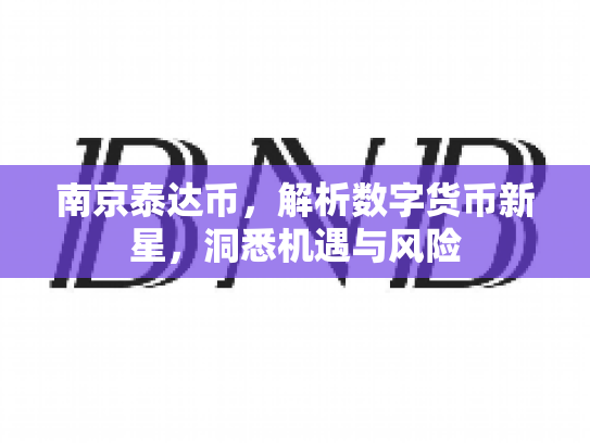 南京泰达币，解析数字货币新星，洞悉机遇与风险