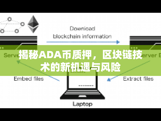 揭秘ADA币质押，区块链技术的新机遇与风险