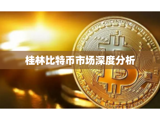 桂林比特币市场深度分析