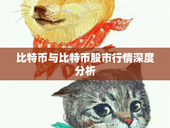 比特币与比特币股市行情深度分析