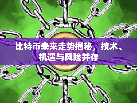 比特币未来走势揭秘，技术、机遇与风险并存