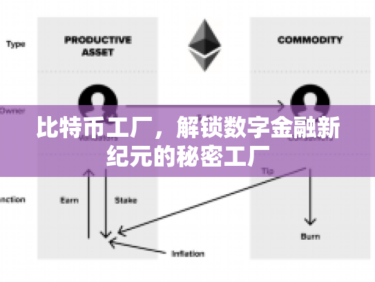 比特币工厂，解锁数字金融新纪元的秘密工厂