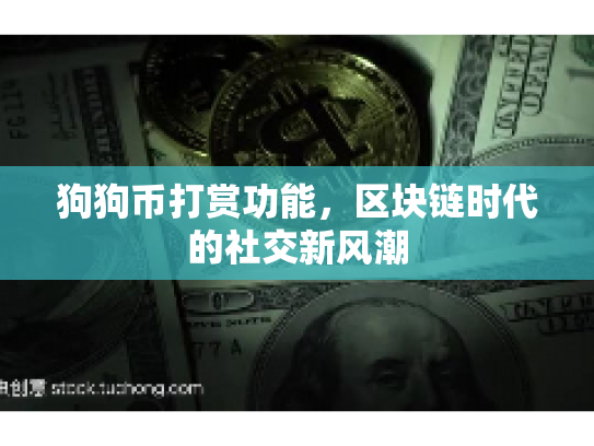 狗狗币打赏功能，区块链时代的社交新风潮