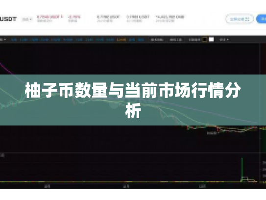 柚子币数量与当前市场行情分析