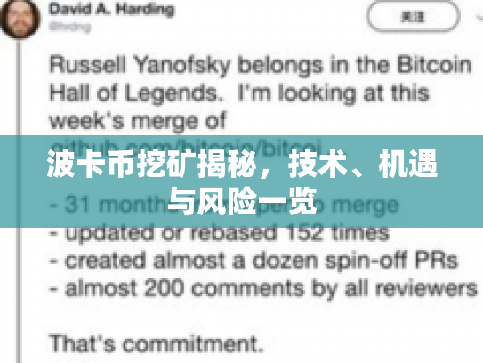 波卡币挖矿揭秘，技术、机遇与风险一览