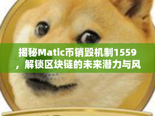 揭秘Matic币销毁机制1559，解锁区块链的未来潜力与风险