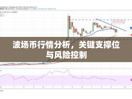 波场币行情分析，关键支撑位与风险控制