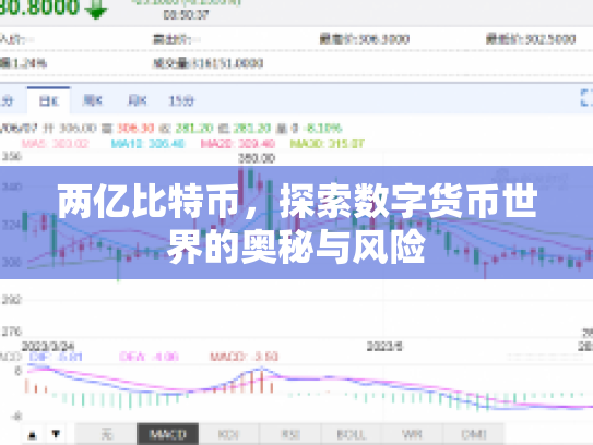 两亿比特币，探索数字货币世界的奥秘与风险