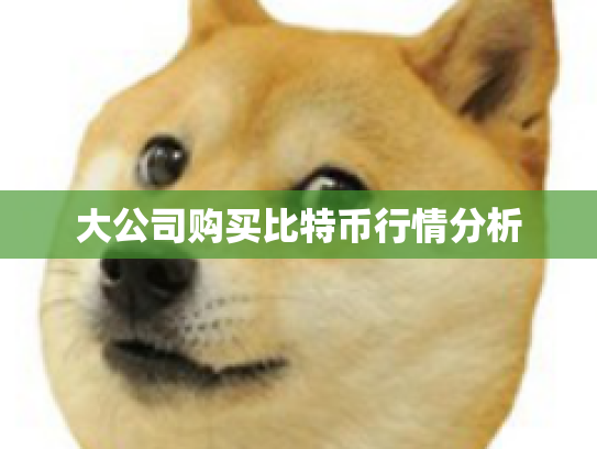 大公司购买比特币行情分析