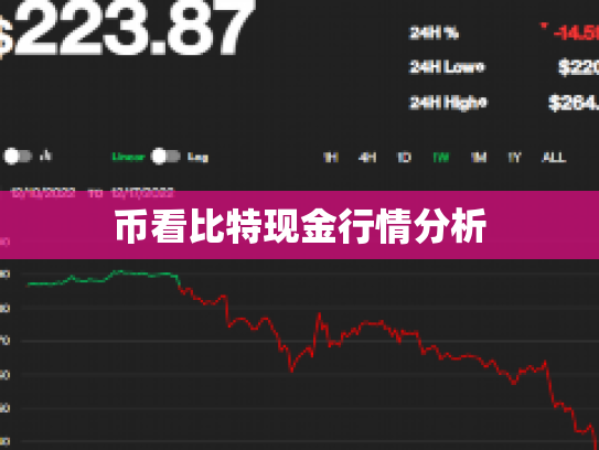 币看比特现金行情分析