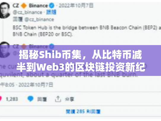 揭秘Shib币集，从比特币减半到Web3的区块链投资新纪元