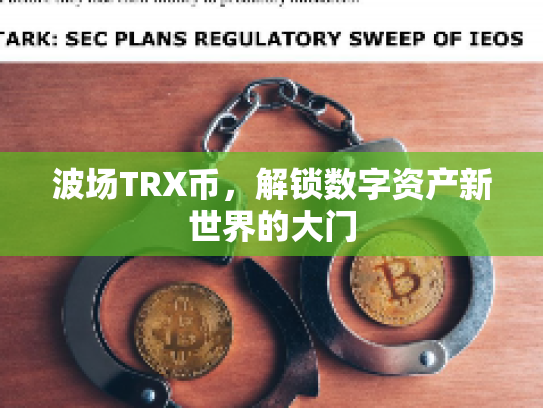波场TRX币，解锁数字资产新世界的大门