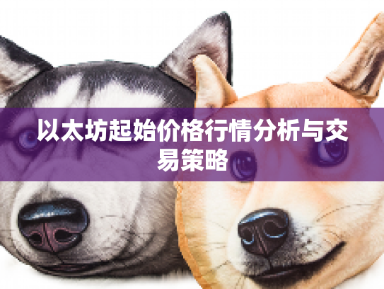 以太坊起始价格行情分析与交易策略