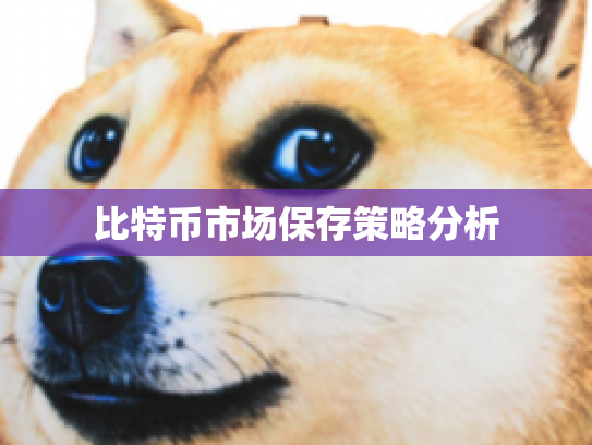比特币市场保存策略分析