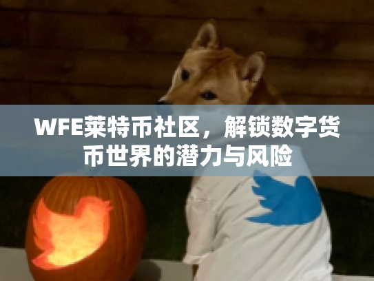 WFE莱特币社区，解锁数字货币世界的潜力与风险