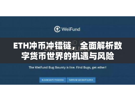 ETH冲币冲错链，全面解析数字货币世界的机遇与风险