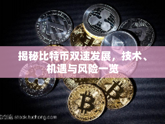 揭秘比特币双速发展，技术、机遇与风险一览