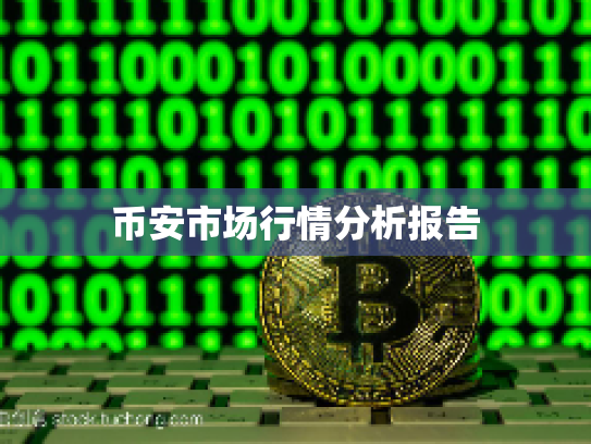 币安市场行情分析报告