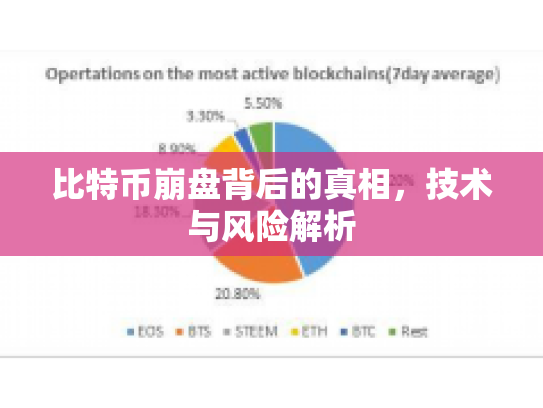 比特币崩盘背后的真相，技术与风险解析