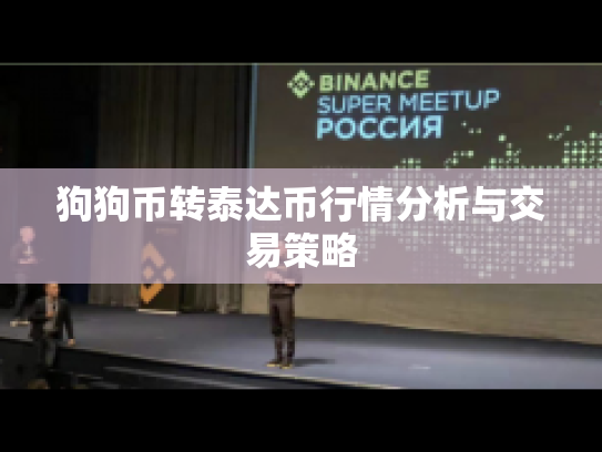 狗狗币转泰达币行情分析与交易策略