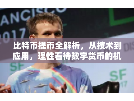 比特币提币全解析，从技术到应用，理性看待数字货币的机遇与风险
