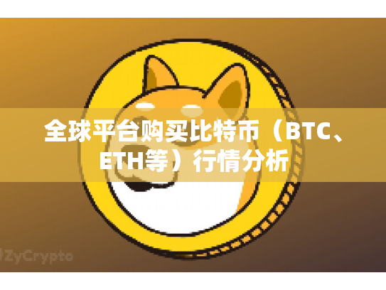 全球平台购买比特币（BTC、ETH等）行情分析