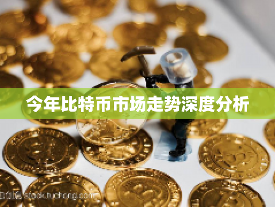 今年比特币市场走势深度分析