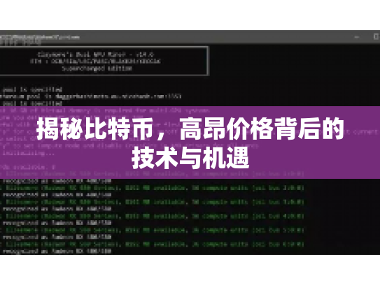 揭秘比特币，高昂价格背后的技术与机遇