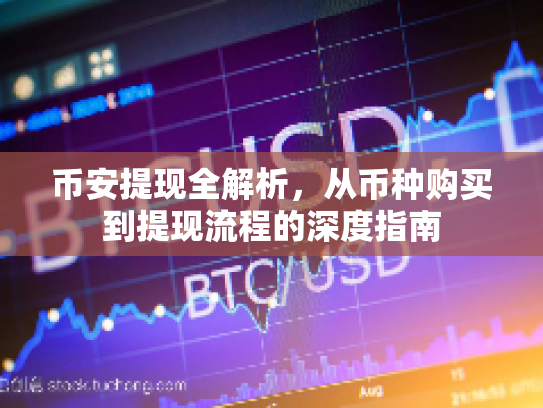 币安提现全解析，从币种购买到提现流程的深度指南