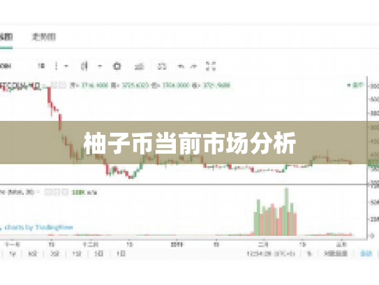 柚子币当前市场分析