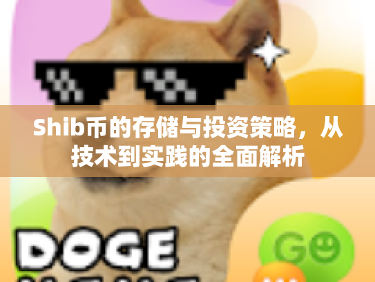 Shib币的存储与投资策略，从技术到实践的全面解析