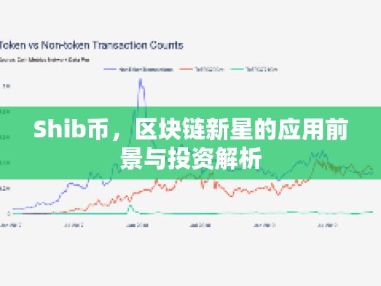 Shib币，区块链新星的应用前景与投资解析